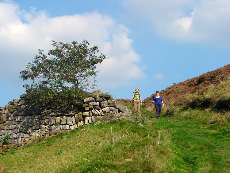 Lovely scenery on the edge of the moors