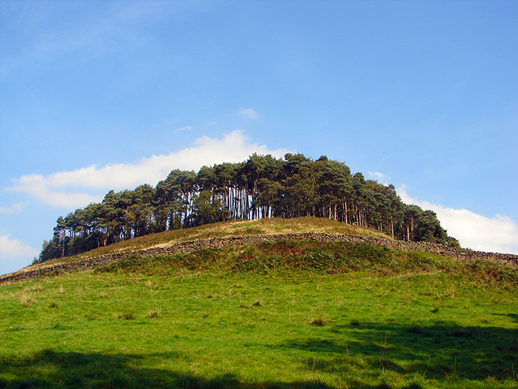 The Nab near Nether Silton