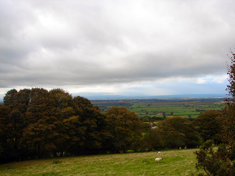 The view south west from the top of Ruebury Lane