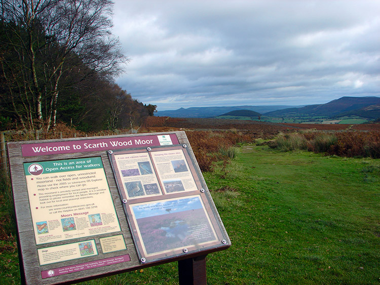 Scarth Wood Moor