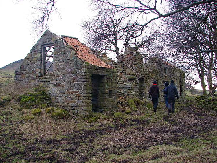 Crow Nest on the flank of Easterside Hill