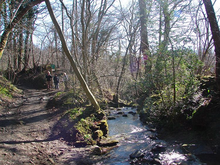 On the bridleway from Lowna Bridge