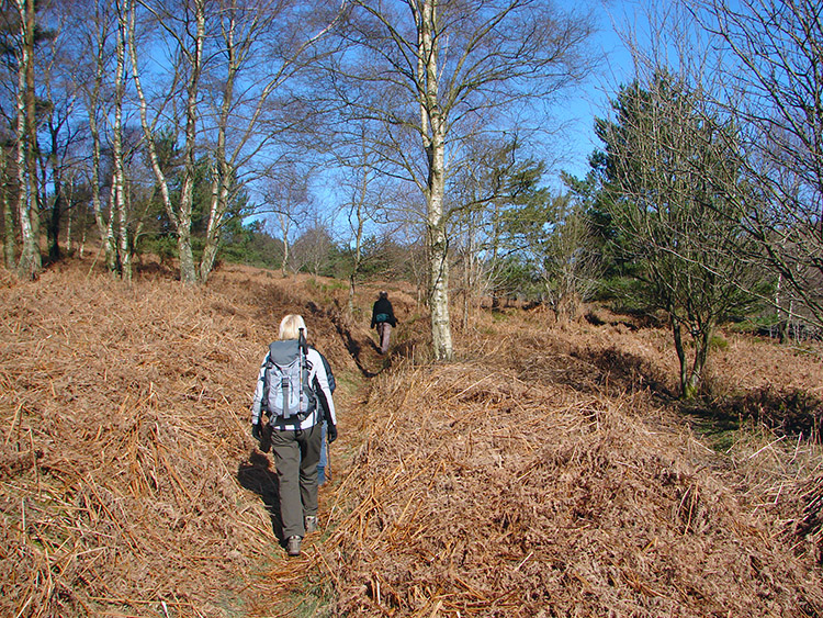 Walking into Farndale