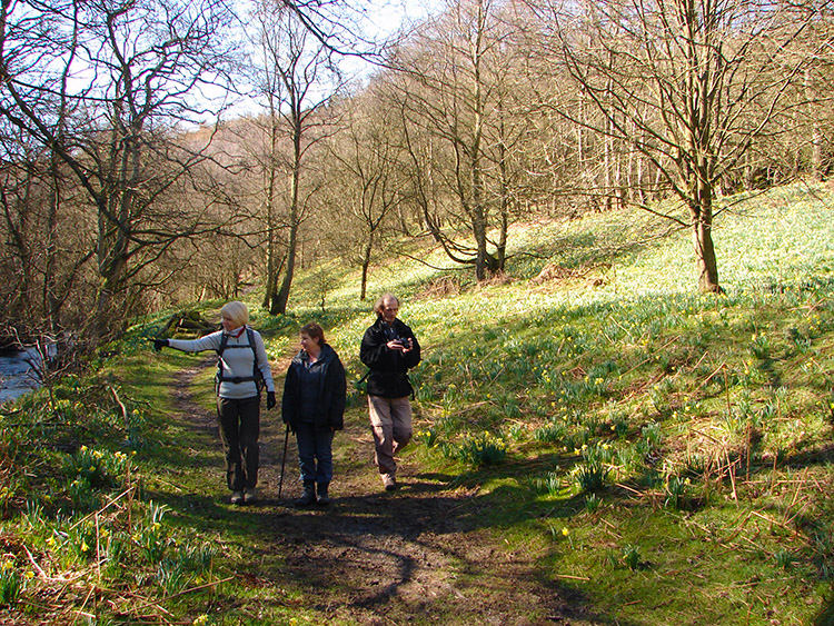 Walking alongside Farndale Beck