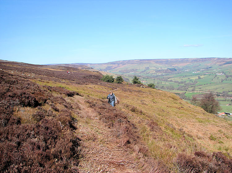 Walking to Harland Moor