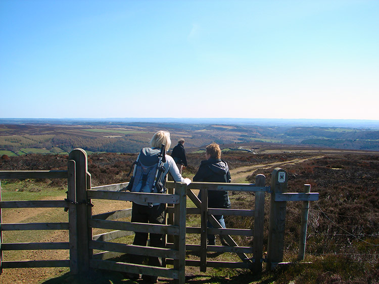 Harland Moor