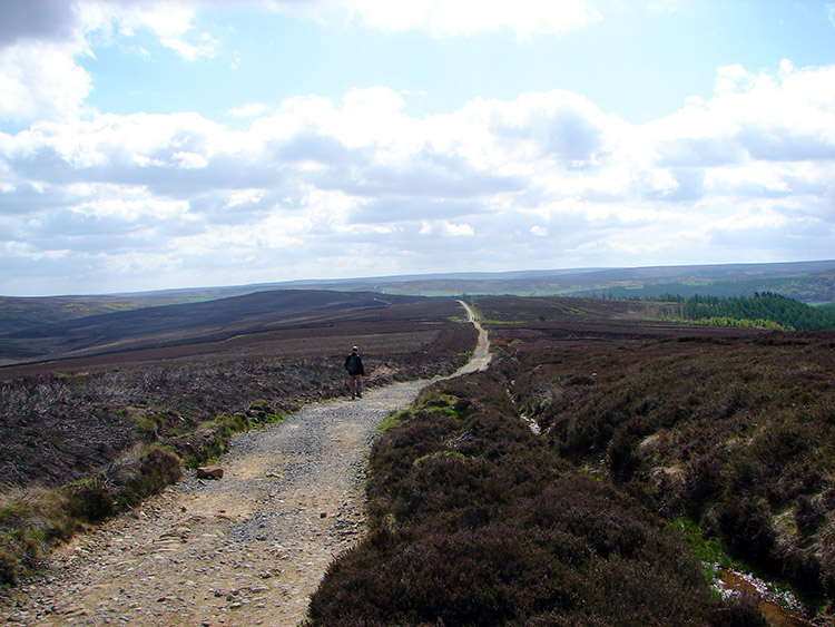 Gisborough Moor