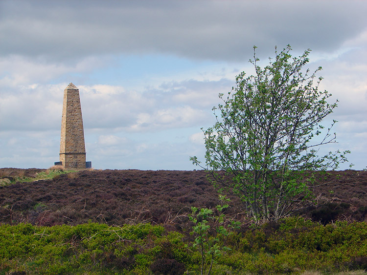 Captain Cook's Monument