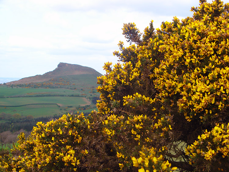 Roseberry Topping