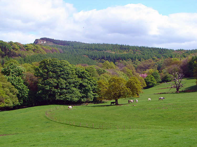 Beauty near Hutton Village