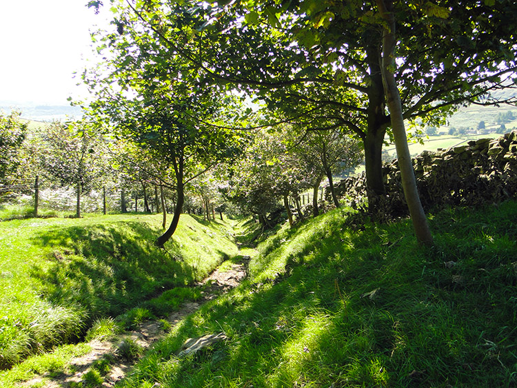 Descending to Dale Head