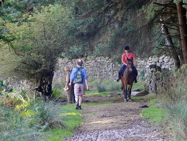 Meeting a rider on the bridleway