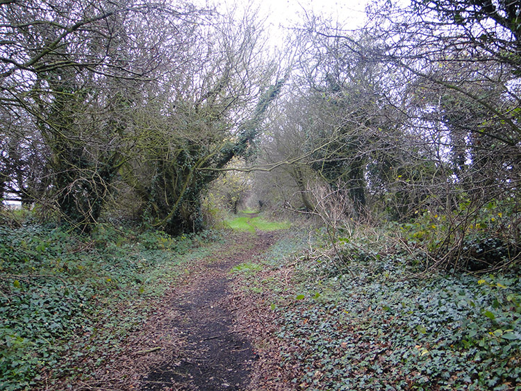 The track narrows after Low House