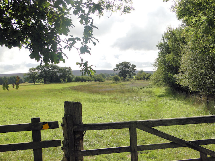 Heading east over fields from Goathland