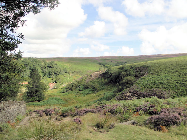 Descending to the deep cut at Darnholm