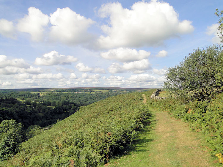 On the moor just north of Goathland