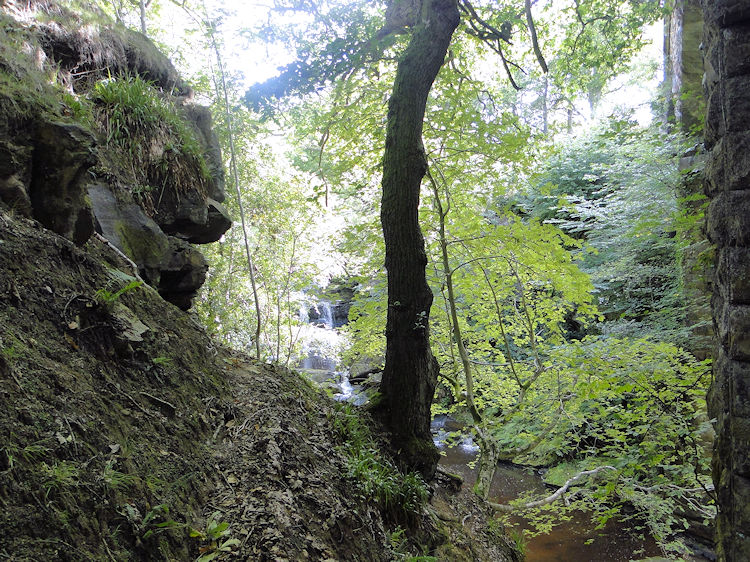 Tricky descent to the waterside near Thomason Foss
