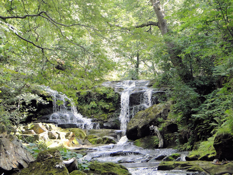 Water Arc Foss