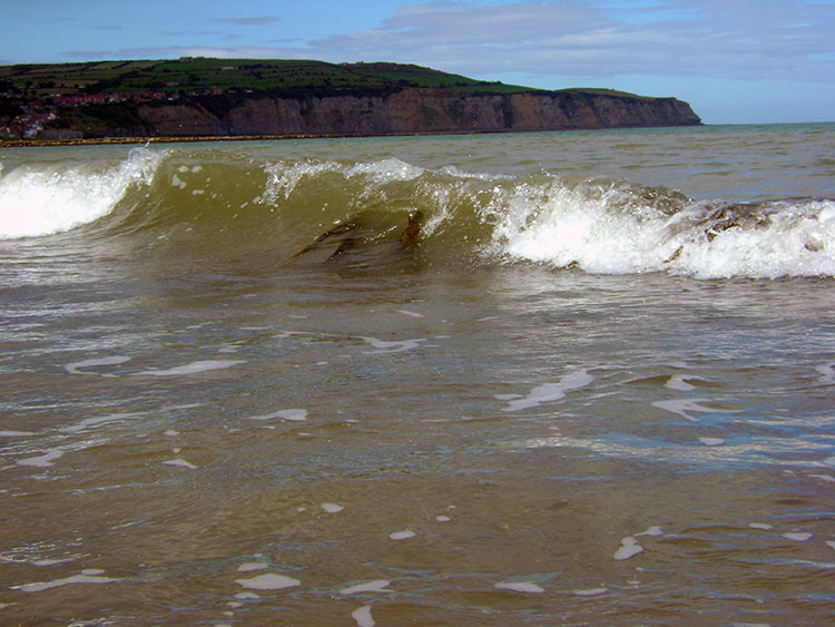 Looking back over the water to Ness Point