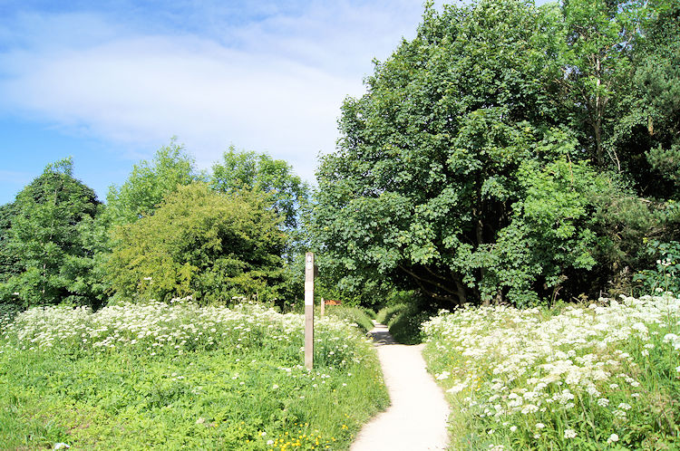 Setting off from Sutton Bank on the Cleveland Way