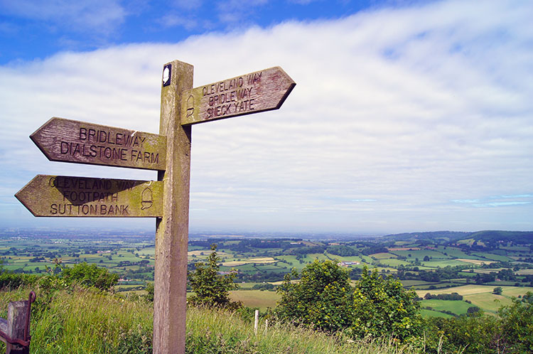 Waysign at Whitestone Cliff