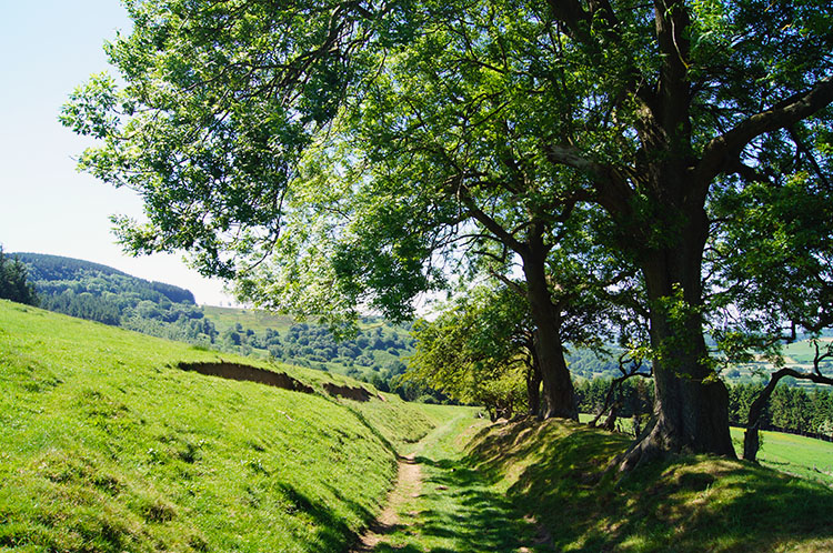 The path to Boltby