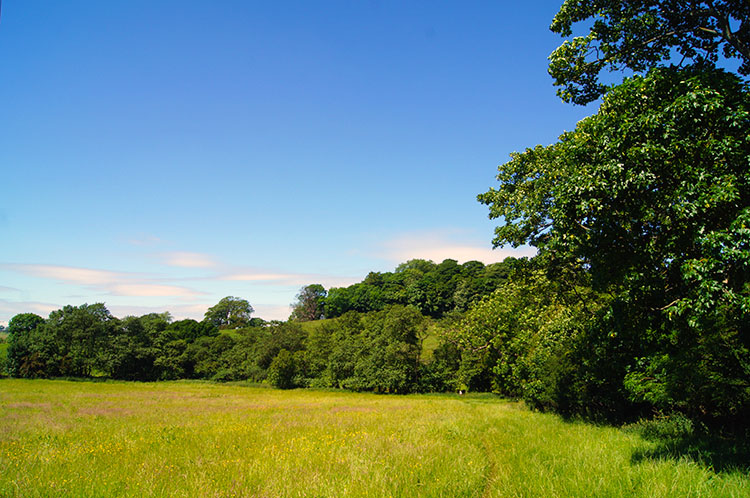 The walk to Boltby is lovely