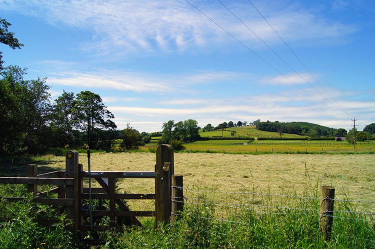 Heading from Boltby towards Gunnerlow Hill