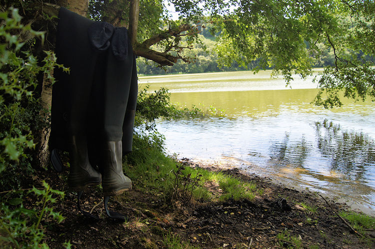 Gamekeeper or Poacher?