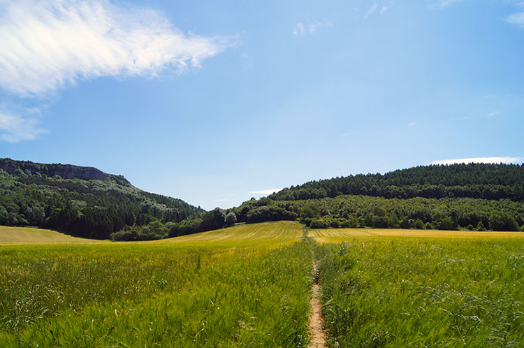 Field crossing after Hood Grange