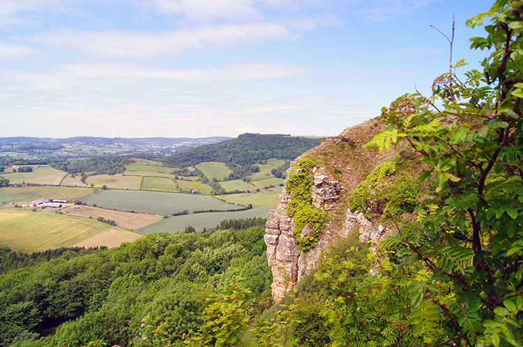 Roulston Scar