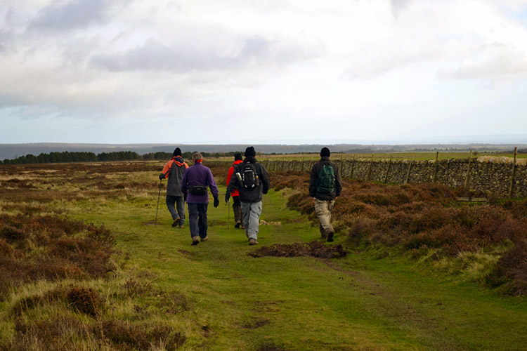 Heading east on Dale Town Common