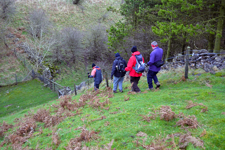 Steep descent to Sunny Bank Wood