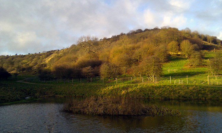Pond and hill in Yowlass Wood