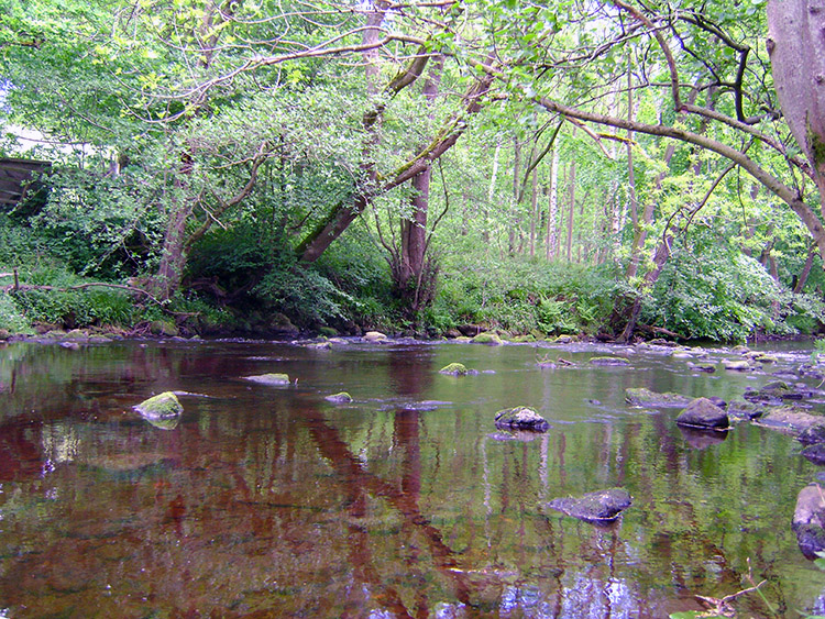 The River Burn