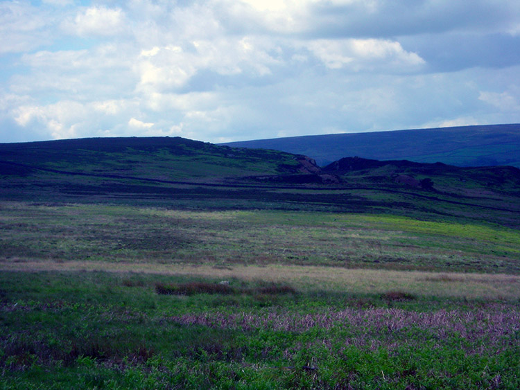 Clints Moor