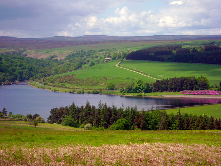 Leighton Reservoir