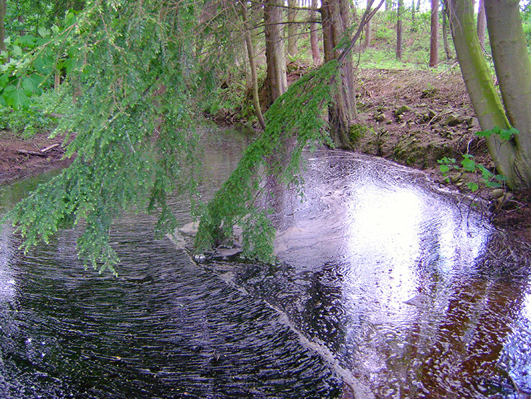 Sole Beck Gill