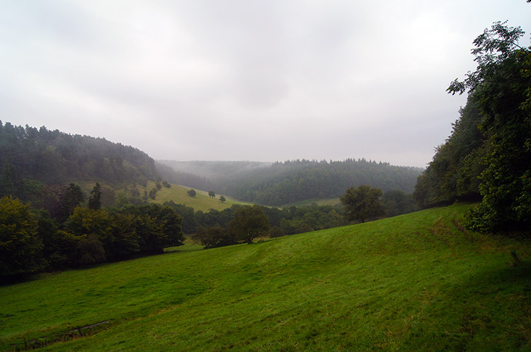 Lush green of Stain Dale