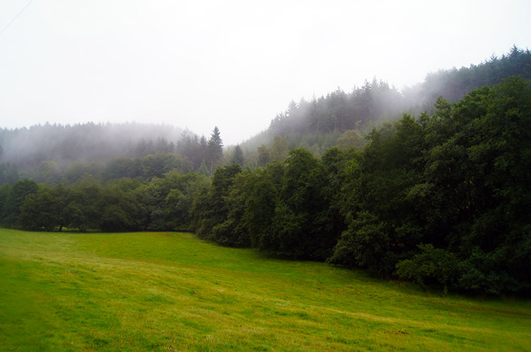 Vapour rising from Stain Dale