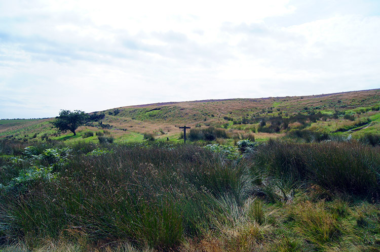 Dundale Rigg