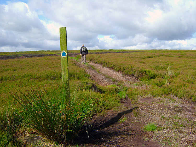 On to Dallow Moor at Skell Gill