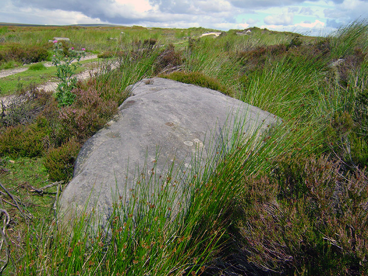 Gritstone rock by the track across the moor