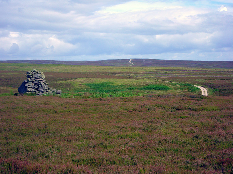 Looking north to Kirkby Malzeard Moor