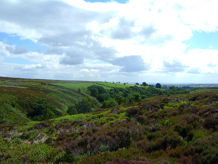 Approaching Dallow Gill