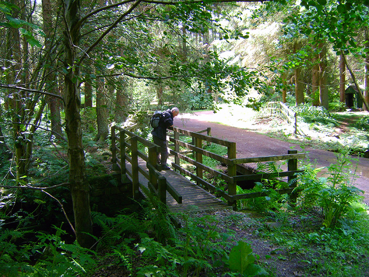 Footbridge in Stang Brae