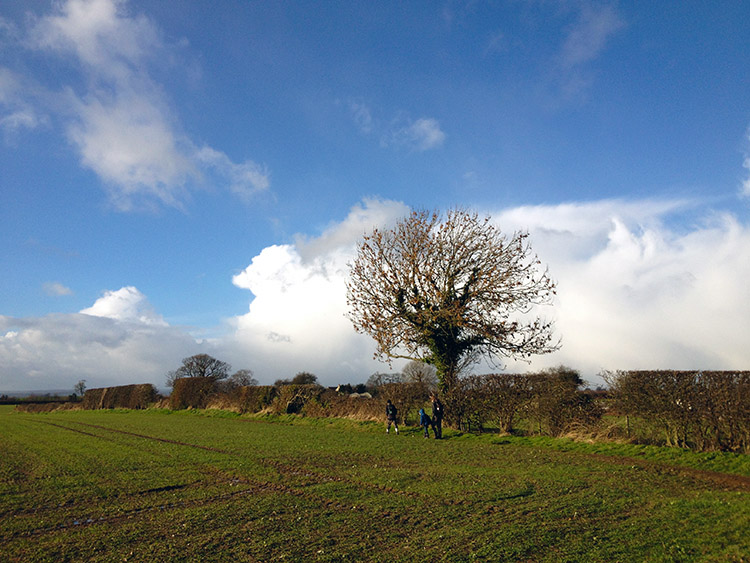 Following the field side path from Kirby Hill