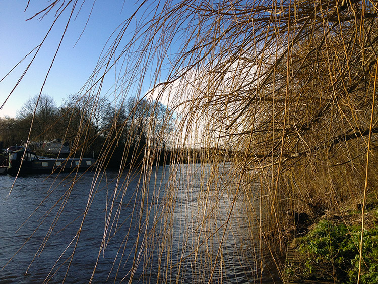 Boroughbridge Marina