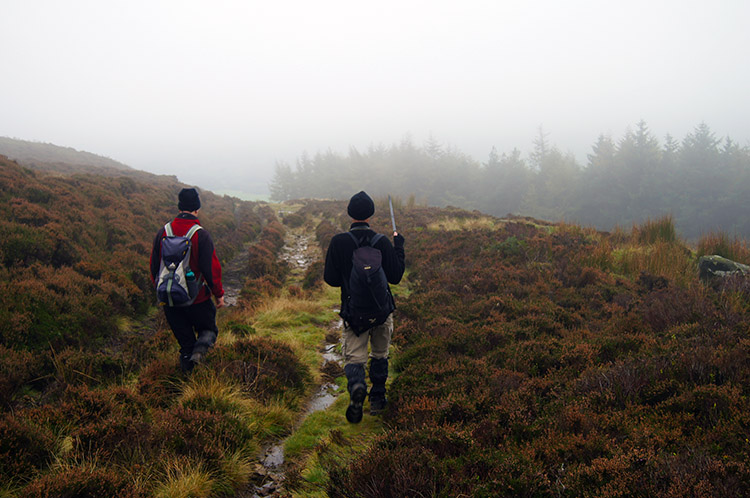 Dave spots woodland from out of the mist