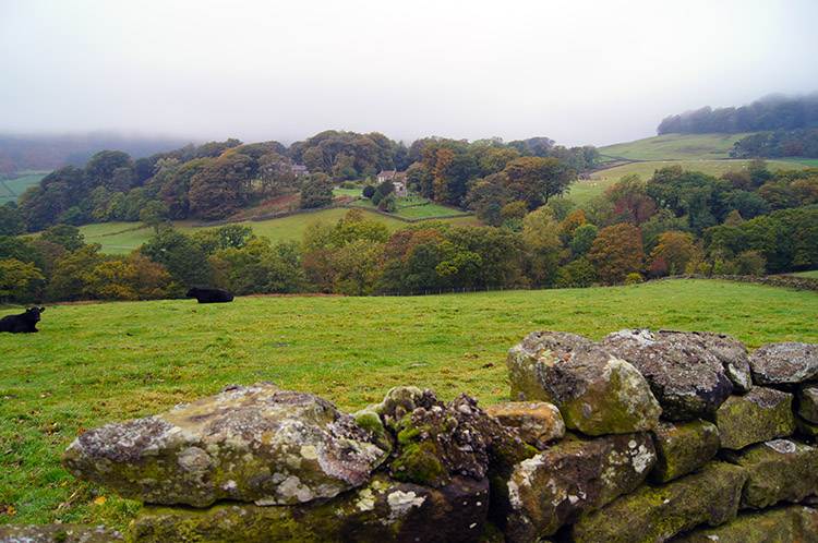 Looking across Bransdale to Cockayne